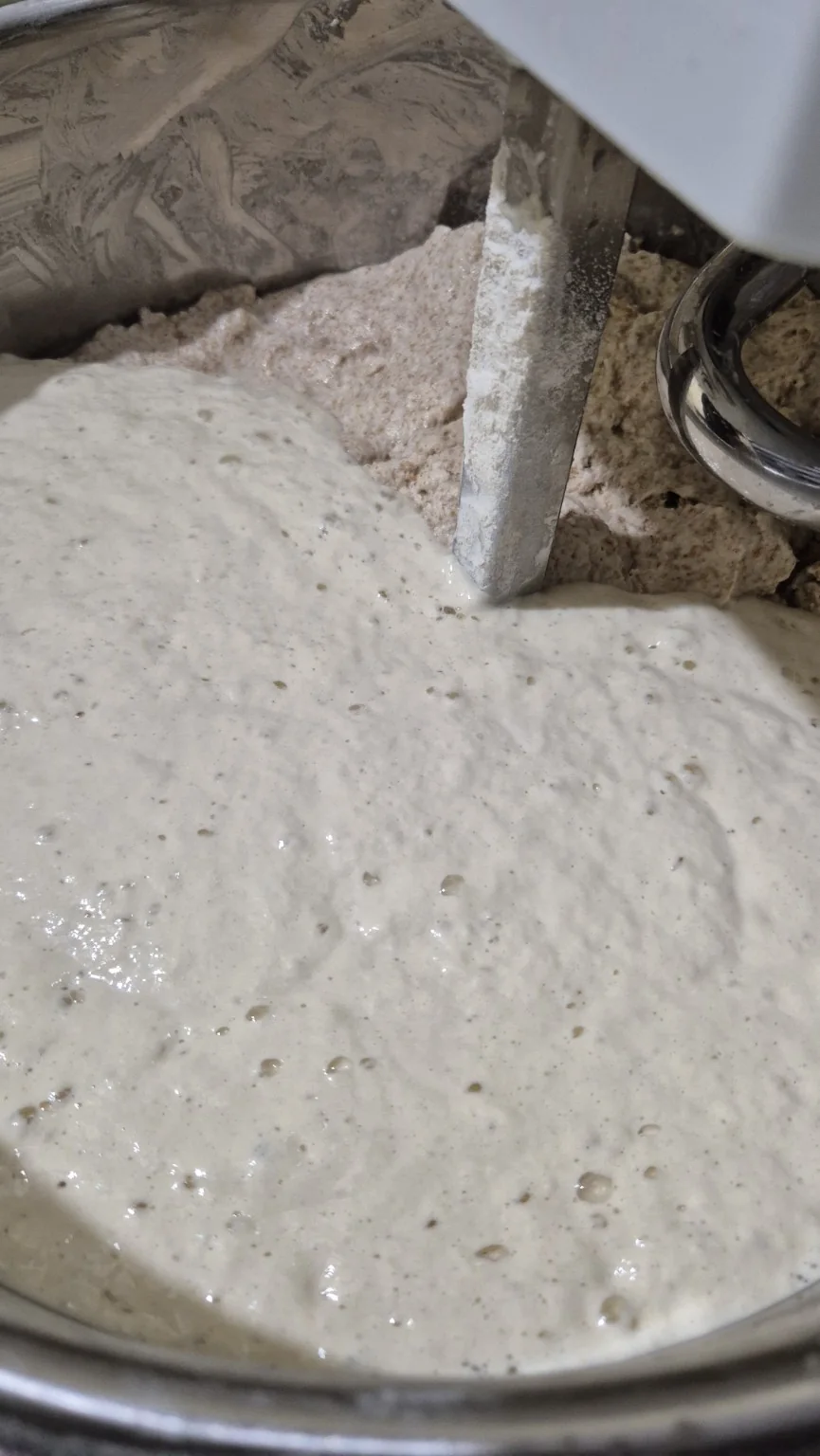 Masa madre incorporándose a la amasadora