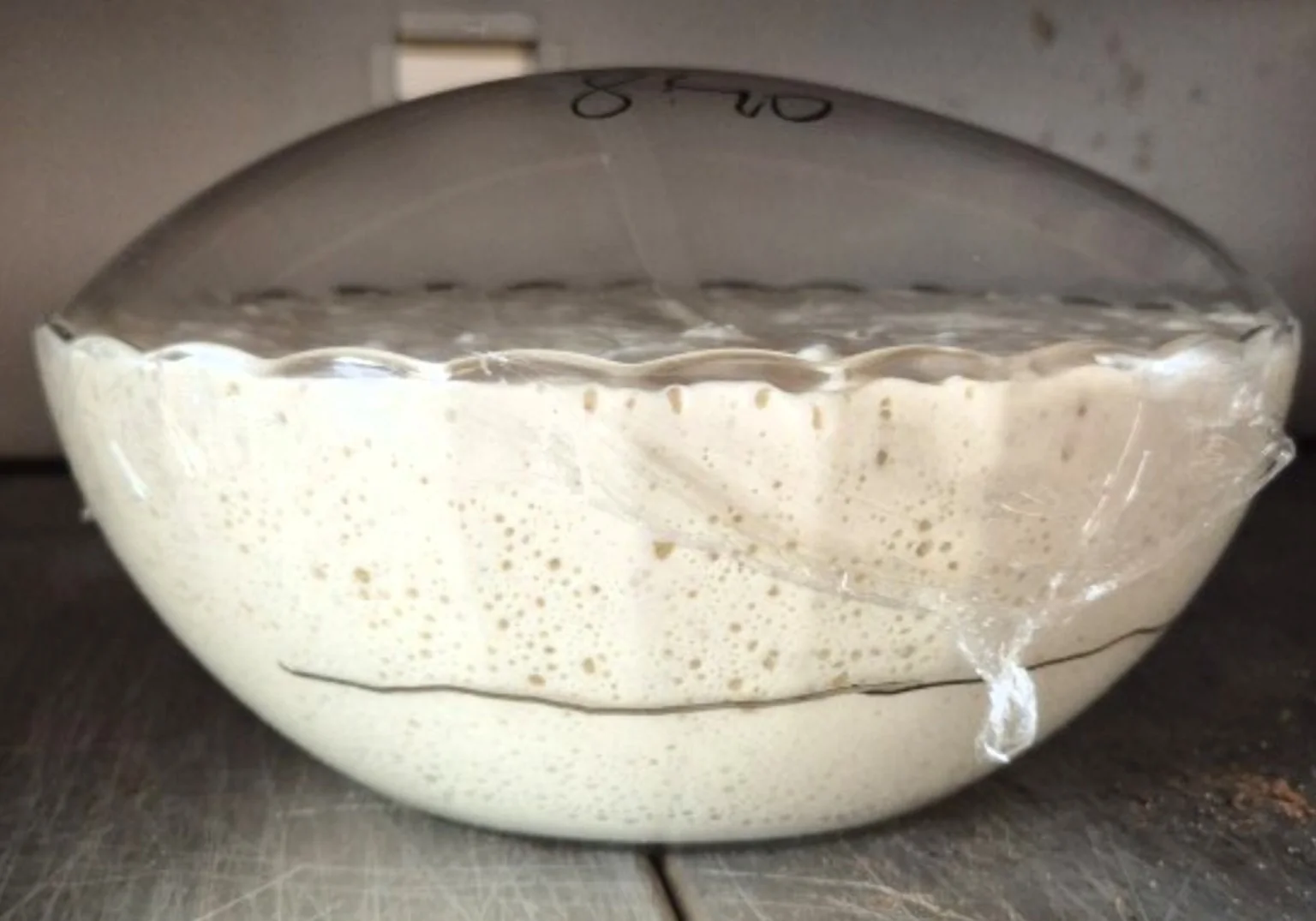 Levain fermentado en bowl